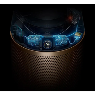Dyson Purifier Cool PC2 De-NOx, baltas/aukso spalvos - Oro valytuvas