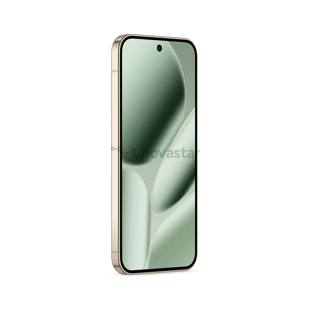 Google Pixel 10 Pro XL, 256 GB, žalias - Išmanusis telefonas