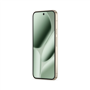 Google Pixel 10 Pro XL, 256 GB, žalias - Išmanusis telefonas