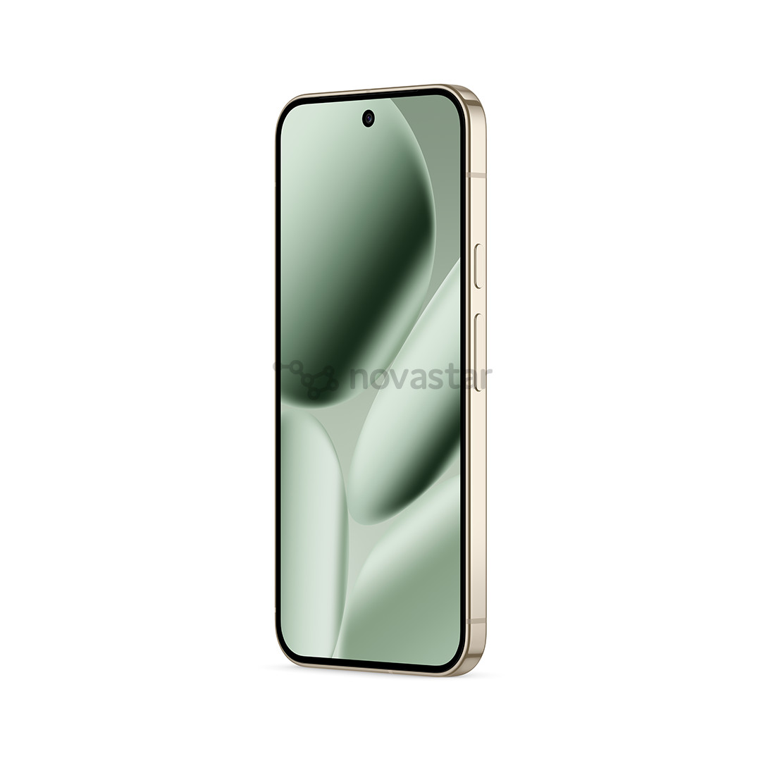 Google Pixel 10 Pro XL, 256 GB, žalias - Išmanusis telefonas