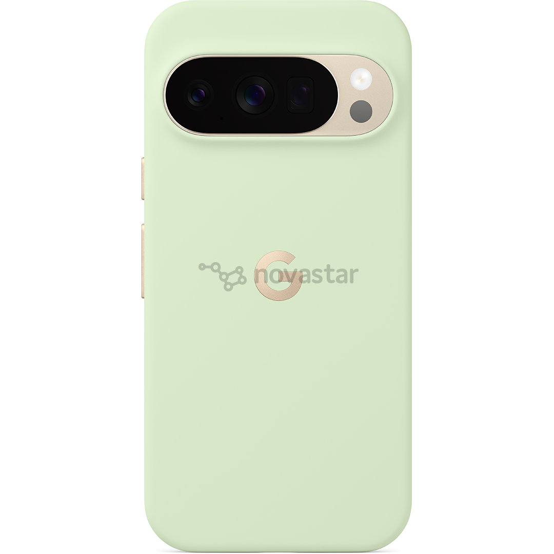 Google Pixel 10 / 10 Pro Pixelsnap Case, зеленый - Чехол