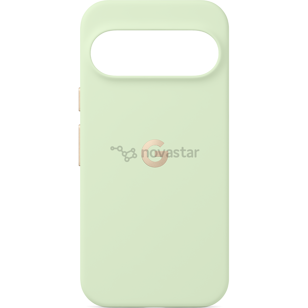 Google Pixel 10 / 10 Pro Pixelsnap Case, зеленый - Чехол