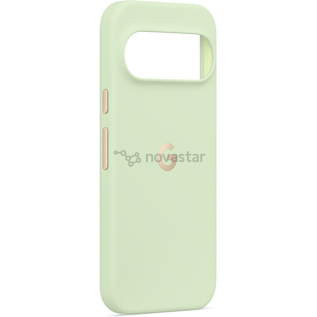 Google Pixel 10 / 10 Pro Pixelsnap Case, зеленый - Чехол