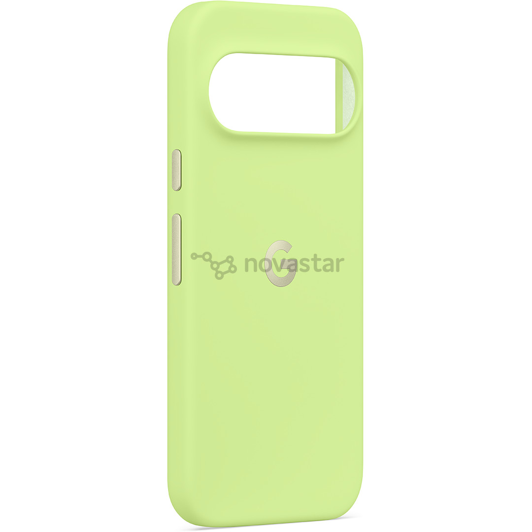 Google Pixel 10 / 10 Pro Pixelsnap Case, зеленый - Чехол