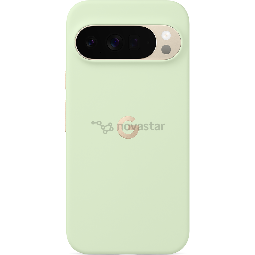 Google Pixel 10 Pro XL Pixelsnap Case, зеленый - Чехол