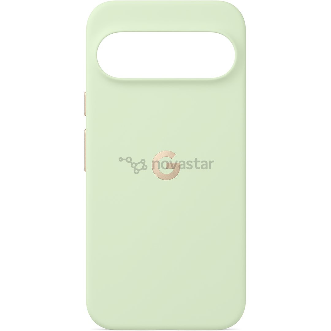 Google Pixel 10 Pro XL Pixelsnap Case, зеленый - Чехол