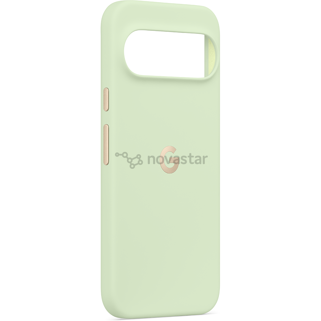 Google Pixel 10 Pro XL Pixelsnap Case, зеленый - Чехол