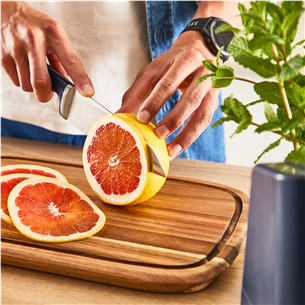 Tefal EverSharp, 5 vnt., nerūdijančio plieno - Peilių rinkinys su stovu