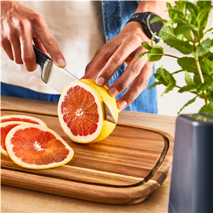 Tefal EverSharp, 5-piece set, stainless steel - Knife set & block