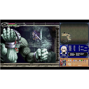 Castlevania Dominus Collection, PlayStation 5 - Žaidimas