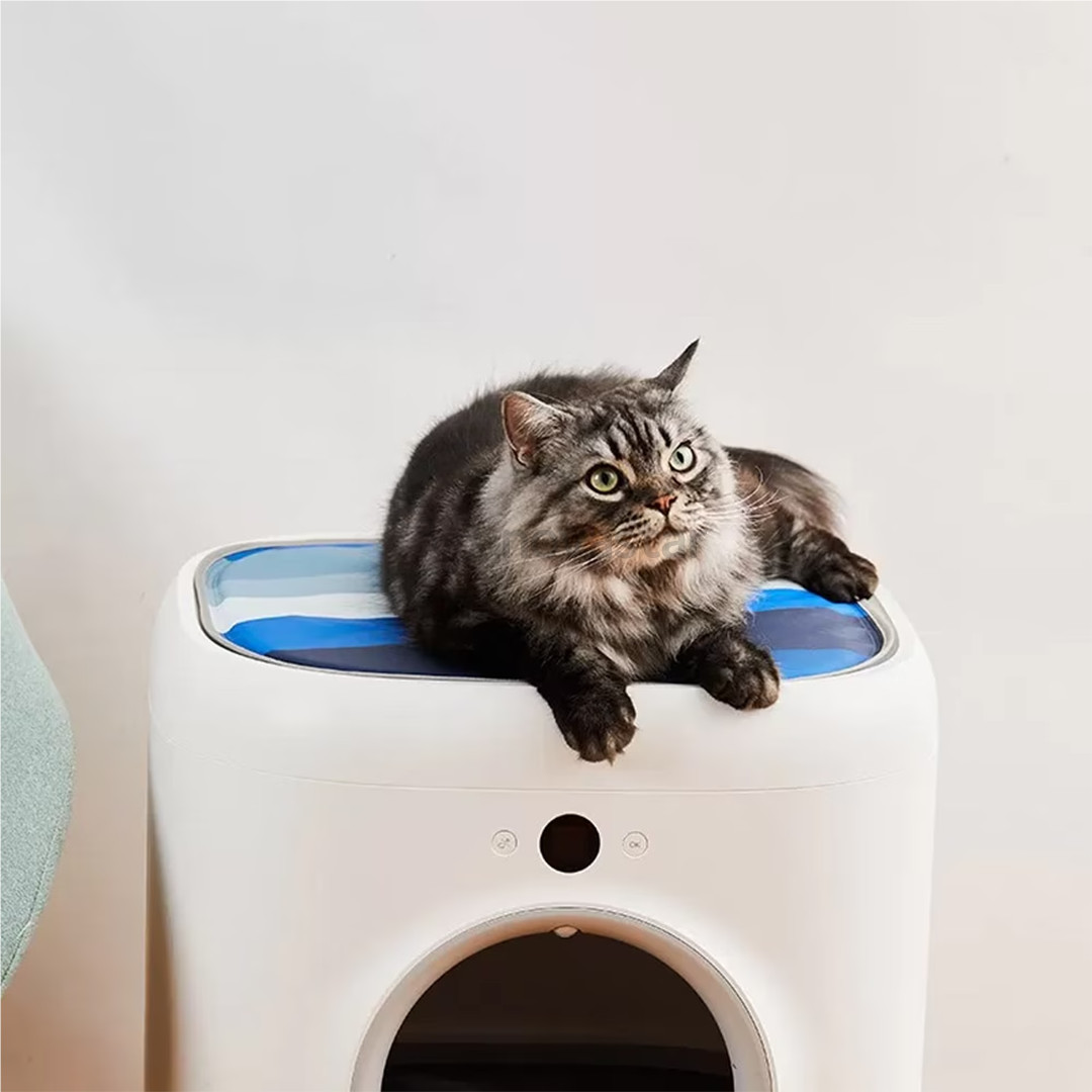 Petkit Pura X, mėlynas - Vėsinantis kilimėlis katėms