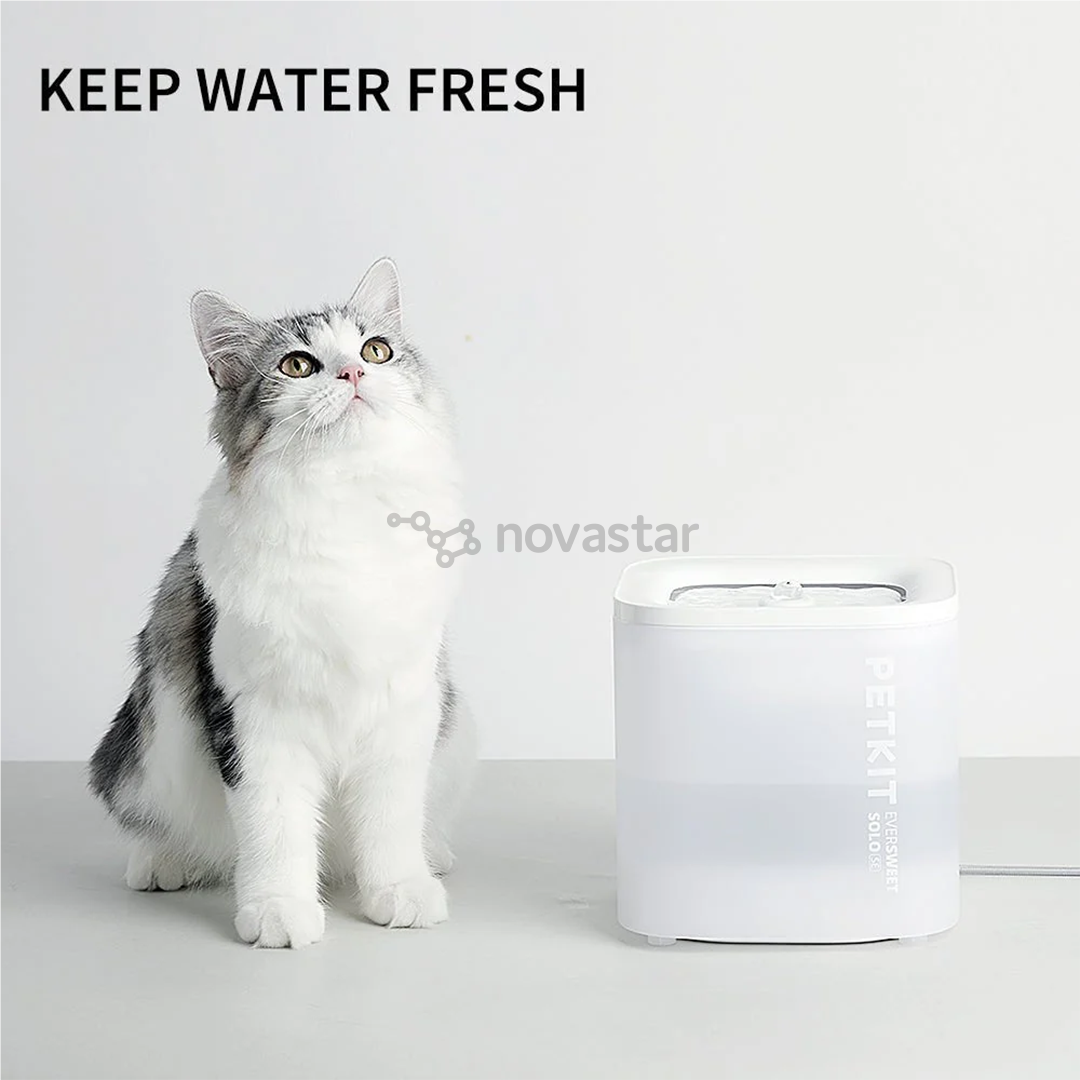 Petkit EverSweet Solo SE, 1,8 L, baltas - Gyvūnų vandens fontanas