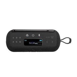 JBL Tuner 3, juodas - Nešiojamasis radijas