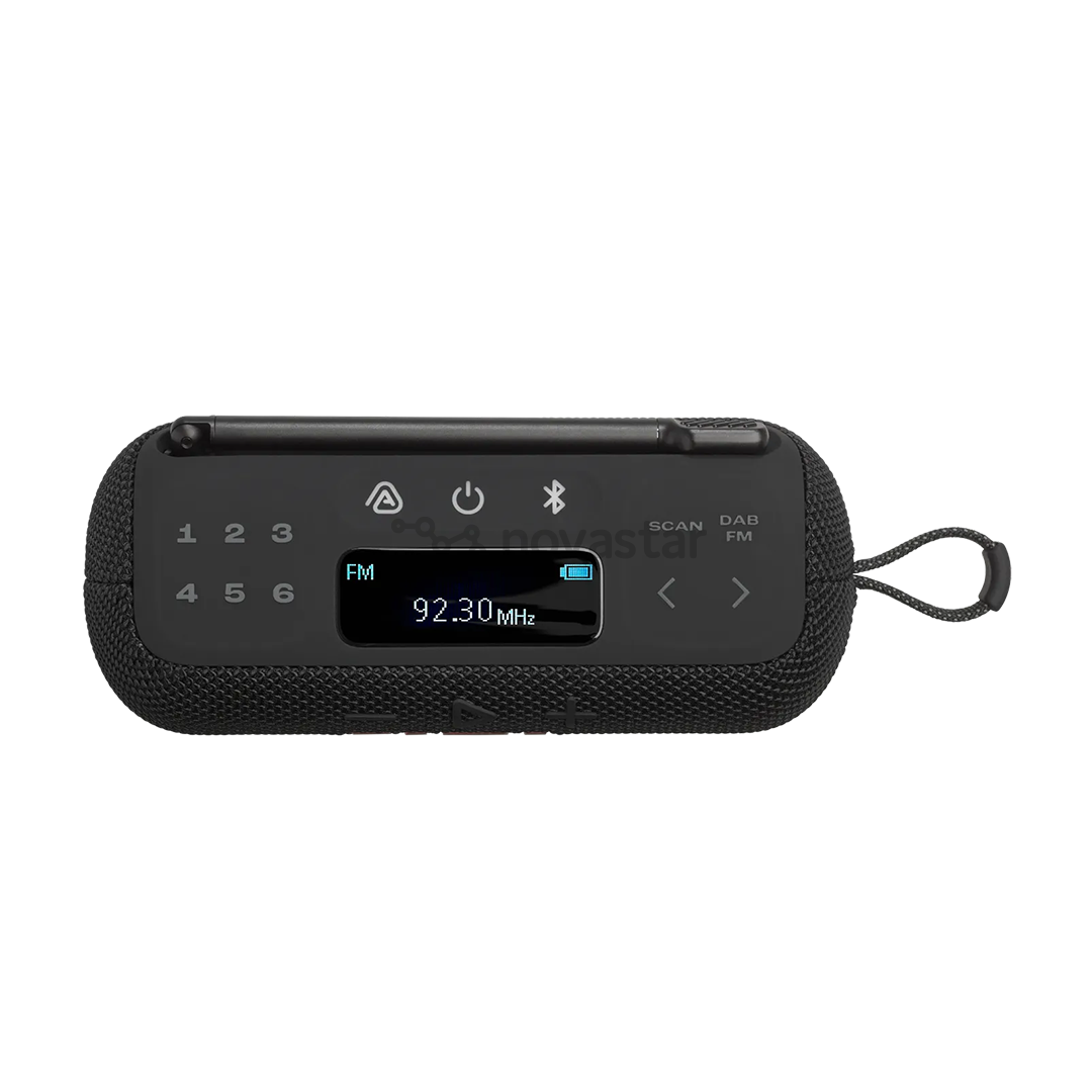 JBL Tuner 3, juodas - Nešiojamasis radijas