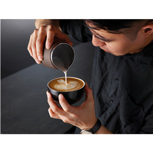 Sage the Pro Control, 420 ml, nerūdijančio plieno - Pieno plakimo ąsotis