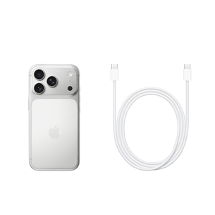 Apple iPhone 17 Pro, 1 TB, silver - Smartphone