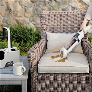 Shark StainForce, белый - Очиститель текстиля