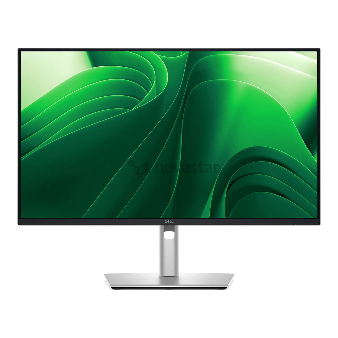 Dell Pro Plus, 24'', QHD, 100 Hz, sidabro spalvos - Monitorius P2425D