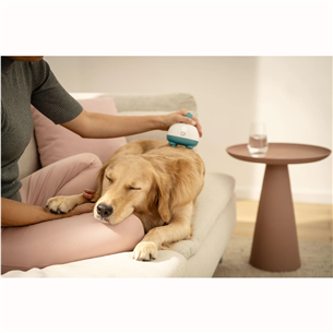 Beurer PP 410 „Buddy“, white/green - Pet massager