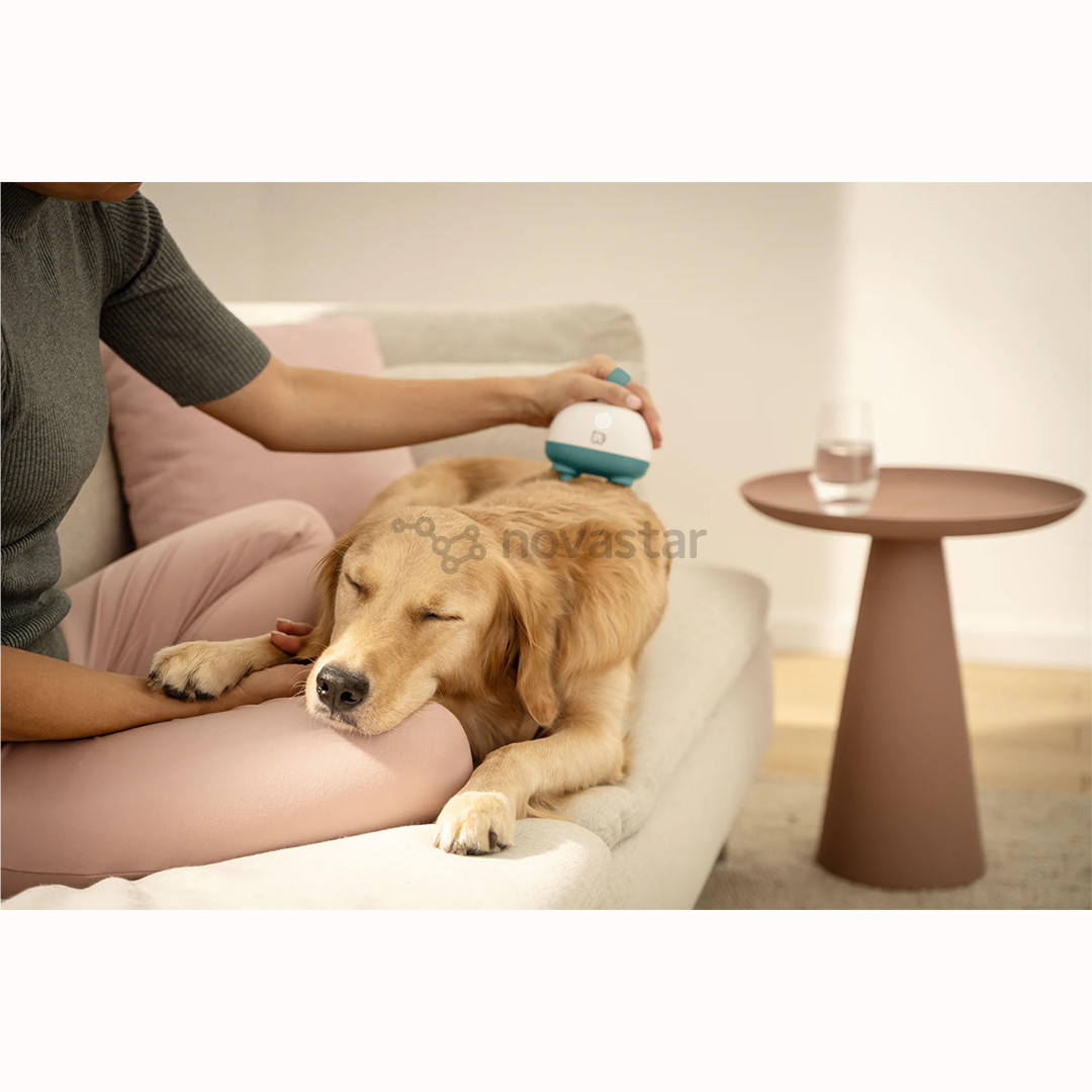 Beurer PP 410 „Buddy“, white/green - Pet massager