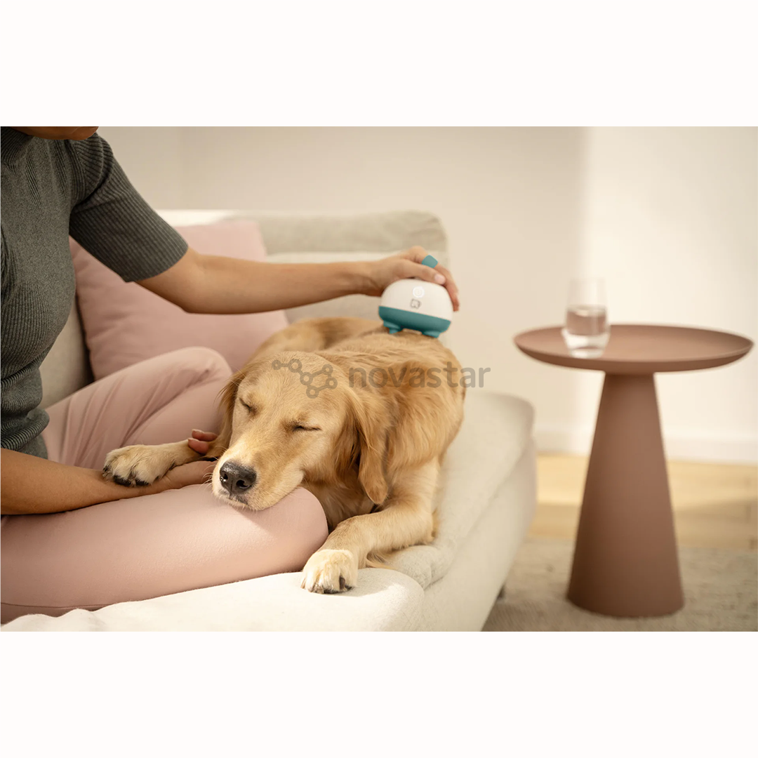 Beurer PP 410 „Buddy“, white/green - Pet massager