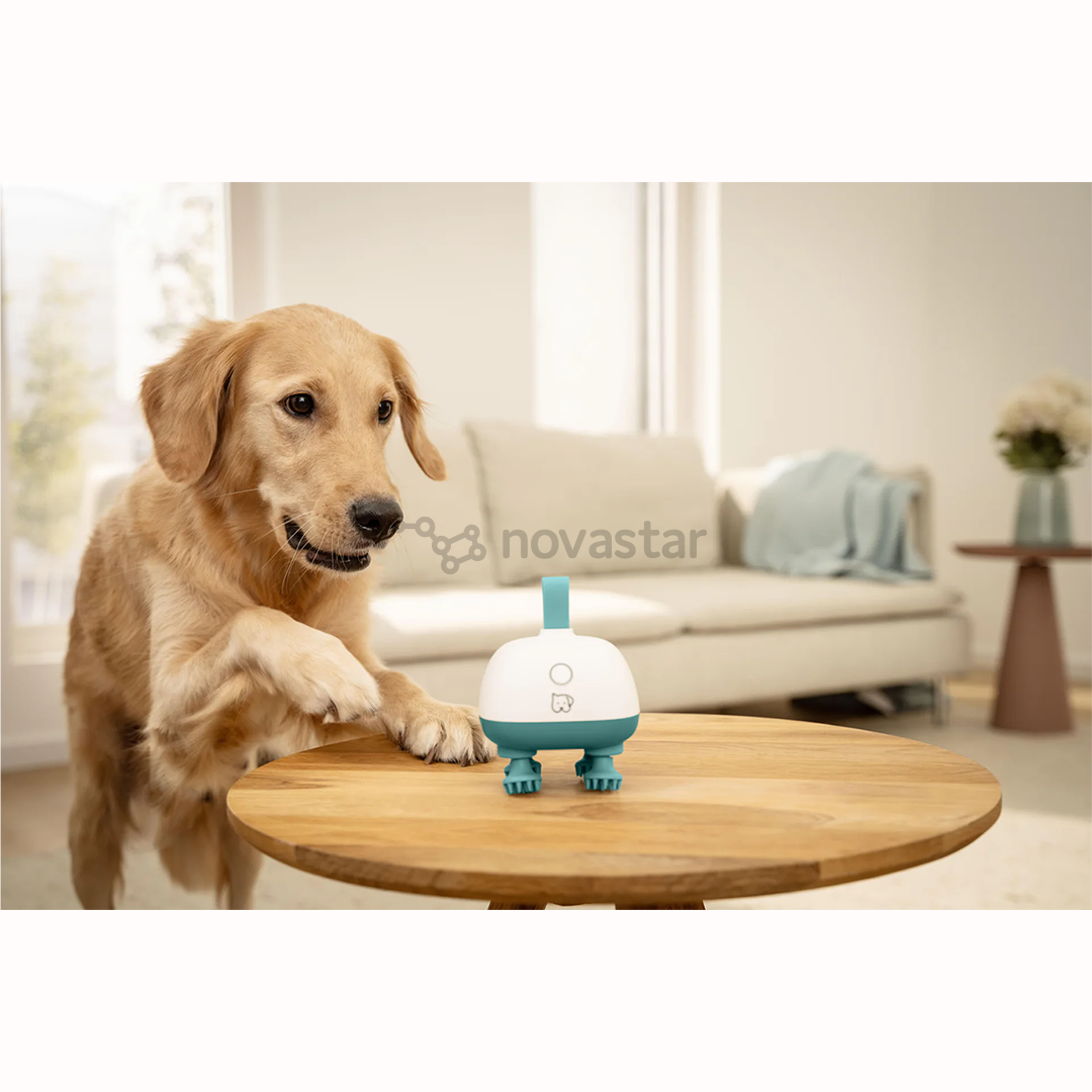 Beurer PP 410 „Buddy“, white/green - Pet massager