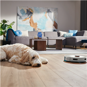 Philips 2000 Series, wet & dry, baltas - Dulkių siurblys robotas