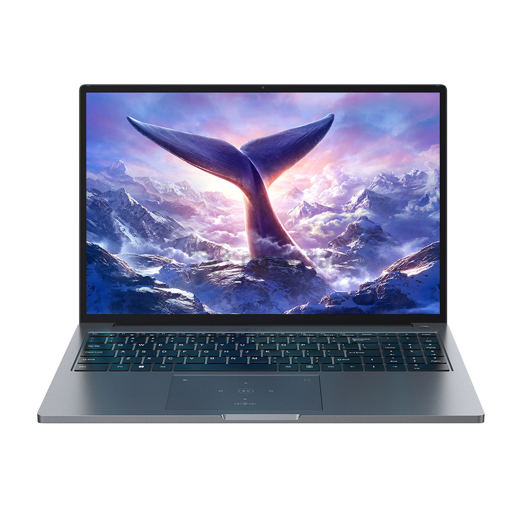 BlackView GamiBook 8, 16'', WUXGA, Ryzen 7, 32 ГБ, 1 ТБ, W11P, ENG, серый - Ноутбук