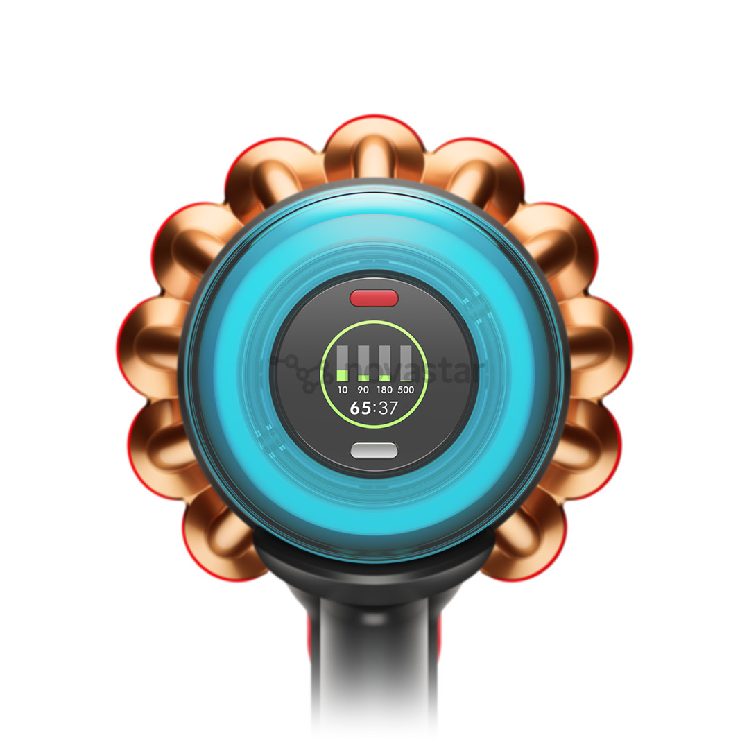 Dyson V16 Piston Animal, juodas/vario spalvos - Belaidis dulkių siurblys