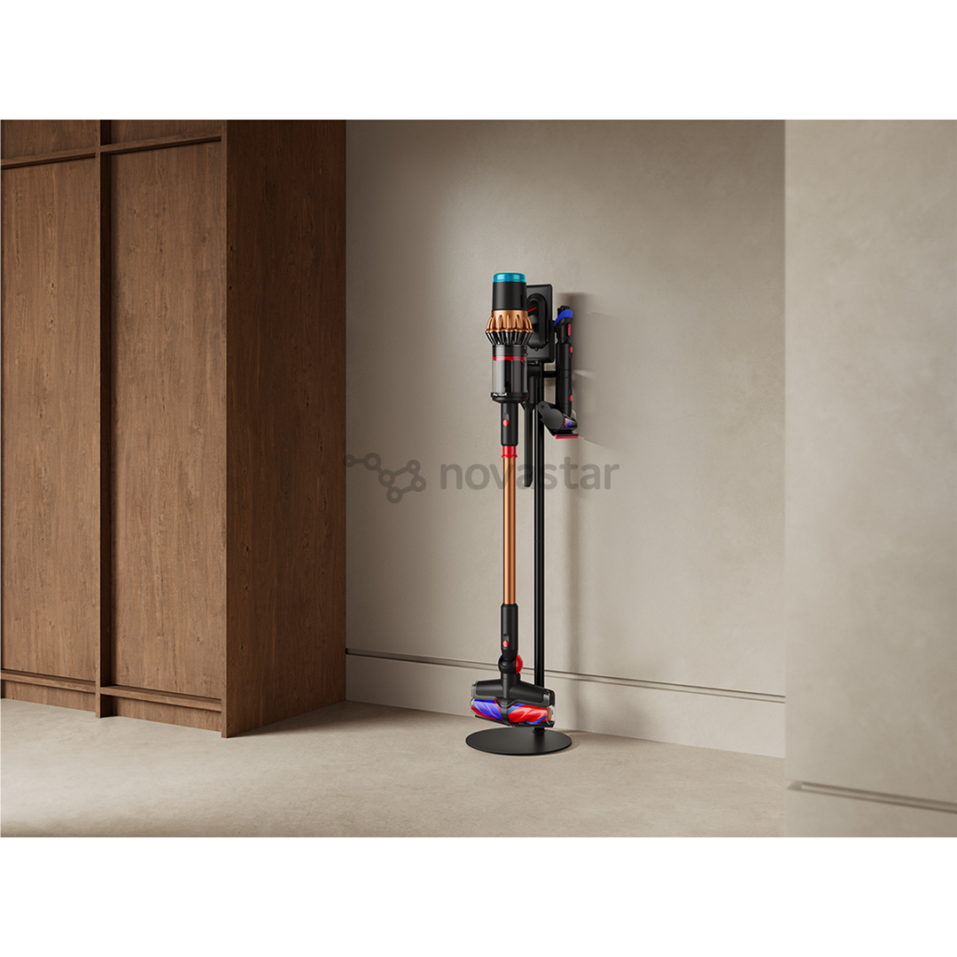 Dyson V16 Piston Animal, juodas/vario spalvos - Belaidis dulkių siurblys