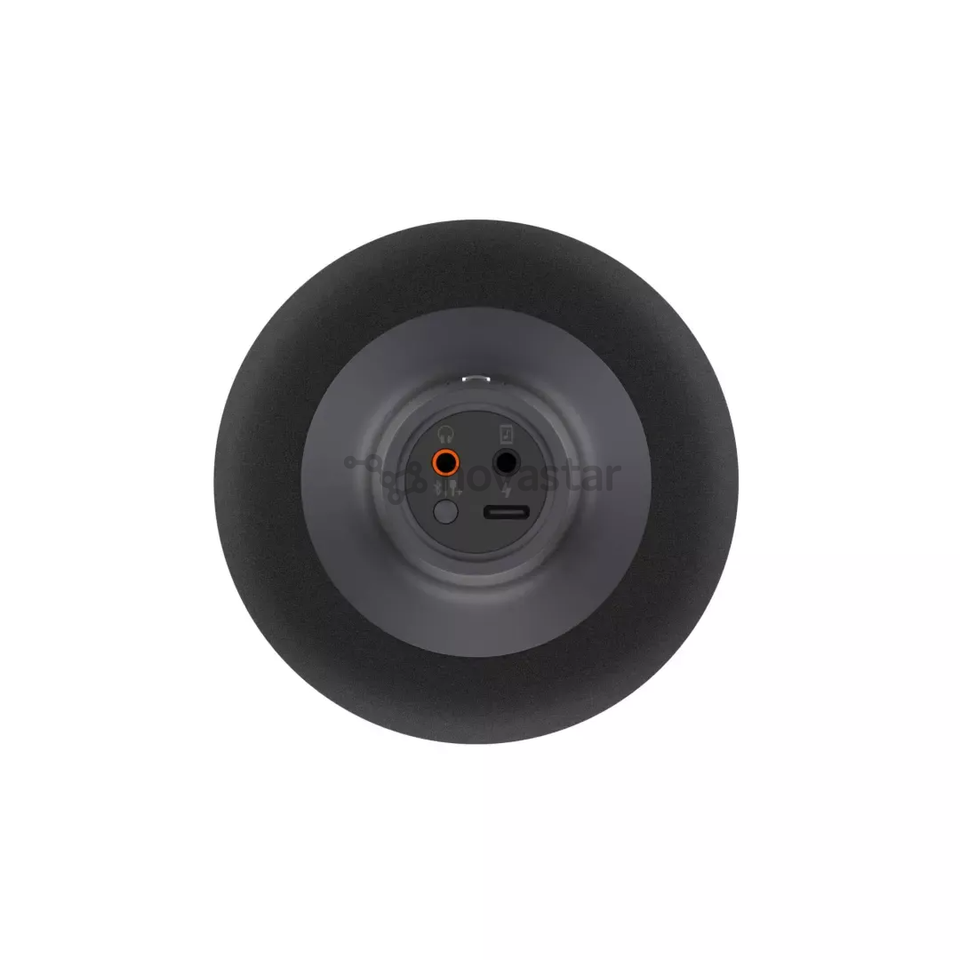 Xiaomi Karaoke Microphone, black - Microphone