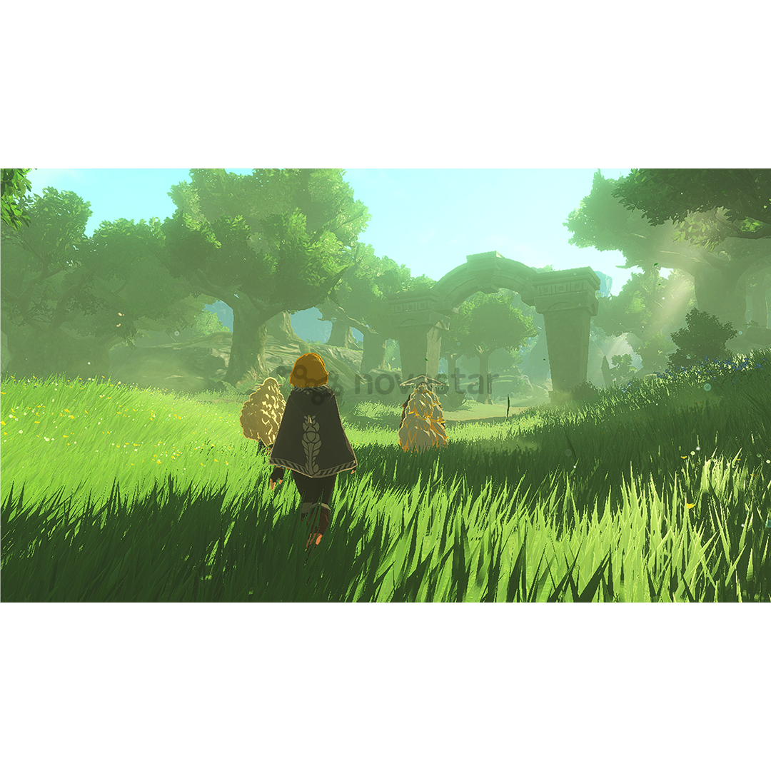 Hyrule Warriors: Age of Imprisonment, Nintendo Switch 2 - Игра