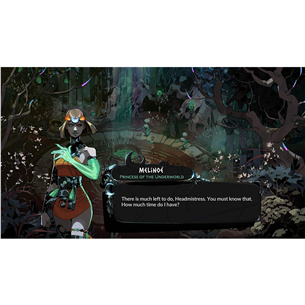 Hades 2, Nintendo Switch 2 - Игра