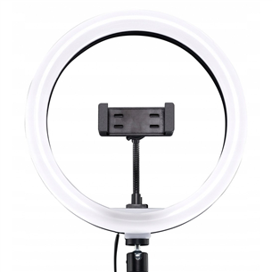 Mackie Ring Light mRING-10, juoda - Žiedinė lempa