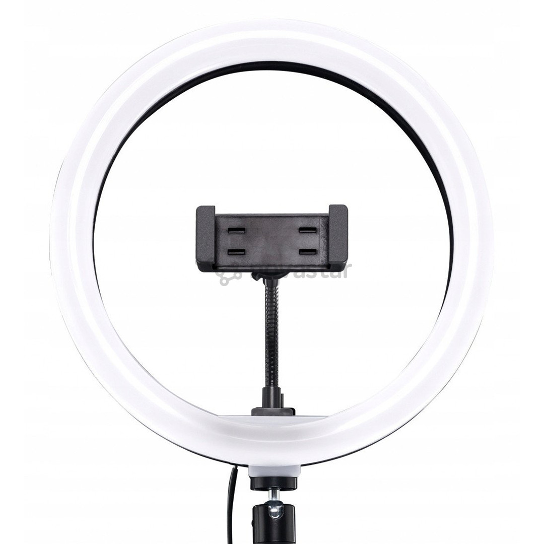 Mackie Ring Light mRING-10, черный - Кольцевая лампа