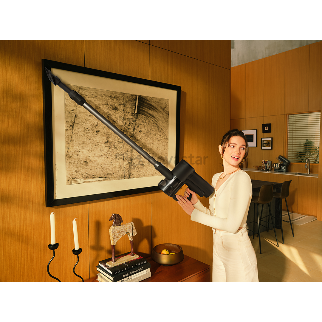 Roborock F25 ACE Combo, Wet & Dry, black - Cordless vacuum cleaner