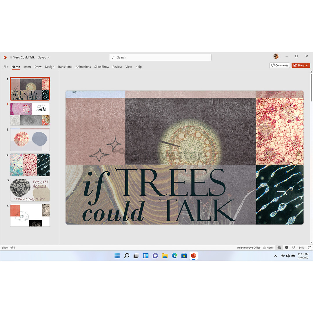 Microsoft 365 Family, 12 mėn. prenumerata, 6 naudotojai / 5 įrenginiai, 1 TB OneDrive, ENG - Programinė įranga