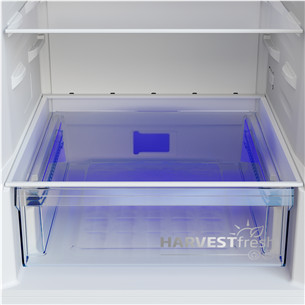 Beko, NoFrost, 301 L, aukštis 180 cm, pilkas - Šaldytuvas