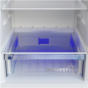 Beko, NoFrost, 301 L, aukštis 180 cm, pilkas - Šaldytuvas