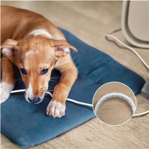 Philips PureProtect Pet 3000 Series, baltas - Oro valytuvas
