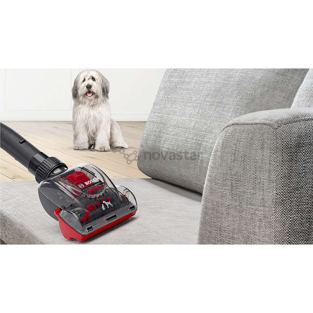 Bosch, Series 6, ProAnimal, 700 W, bagless, red - Vacuum cleaner