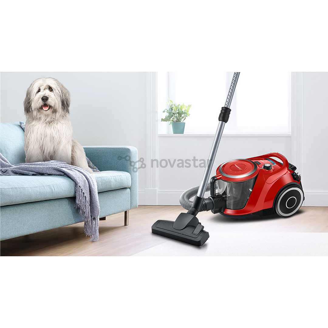 Bosch, Series 6, ProAnimal, 700 W, be maišelių, raudonas - Dulkių siurblys