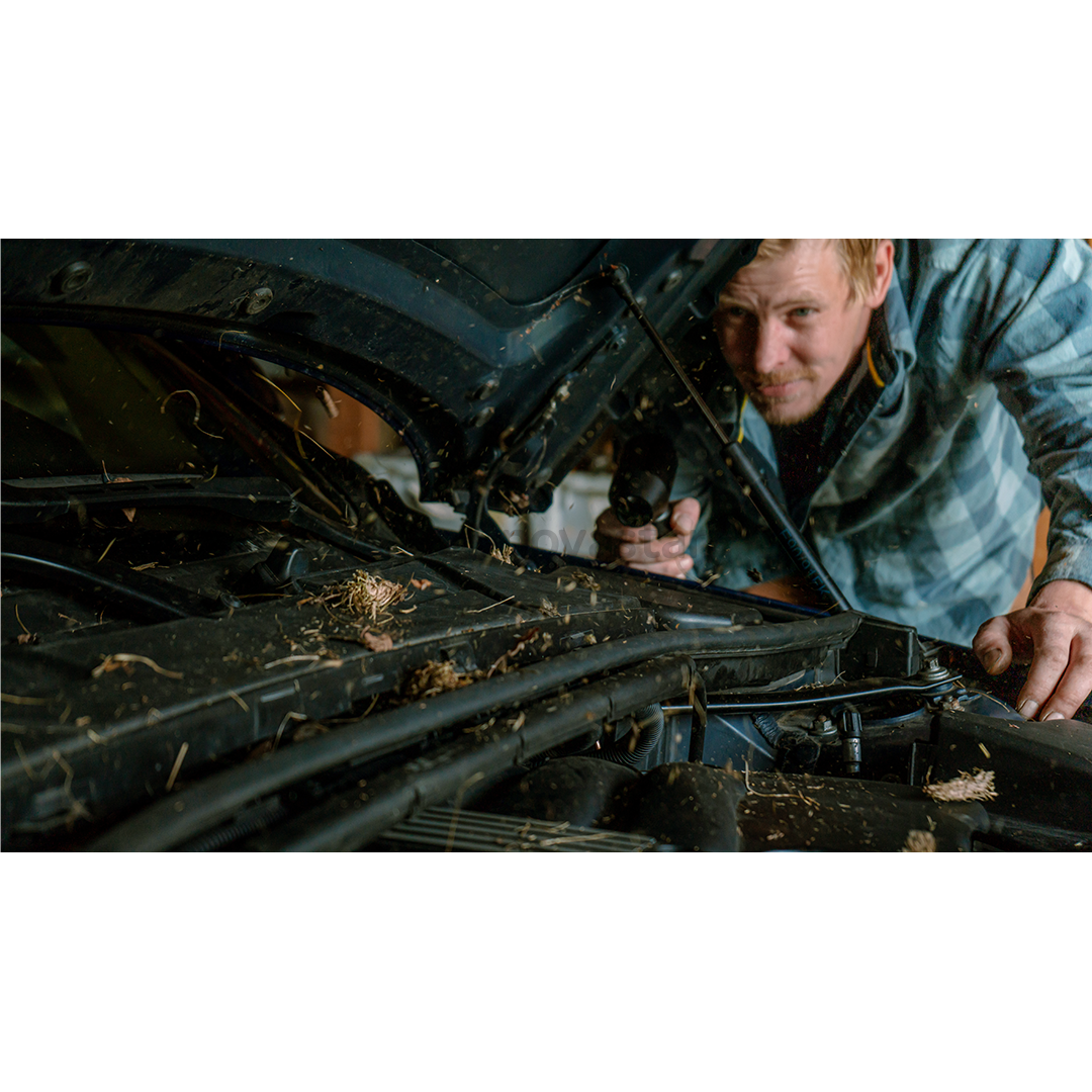 Hedgehog Jet, black - Cordless ultra blower