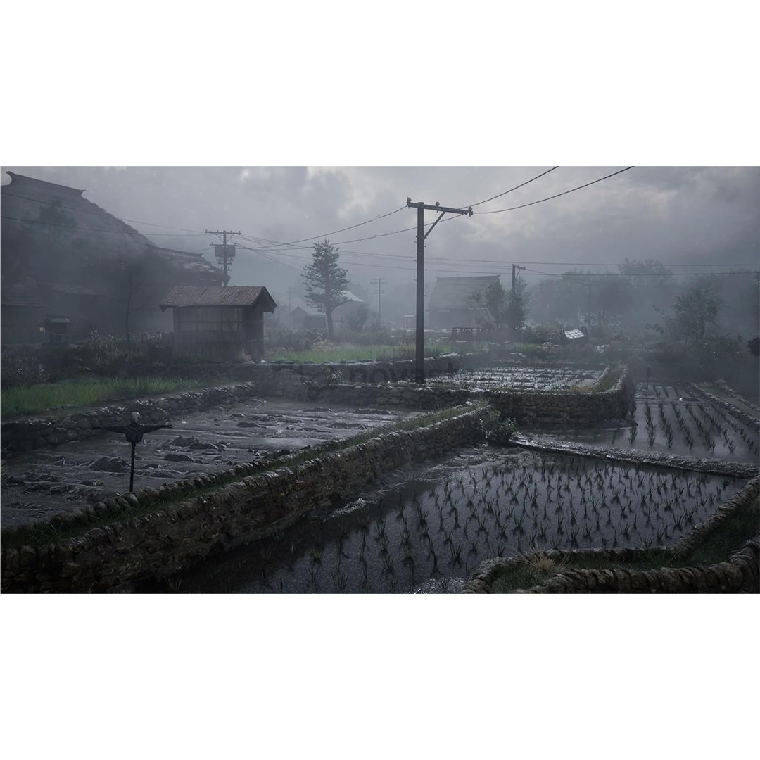 Silent Hill f Day One Edition, PlayStation 5 - Игра