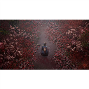 Silent Hill f Day One Edition, PlayStation 5 - Игра