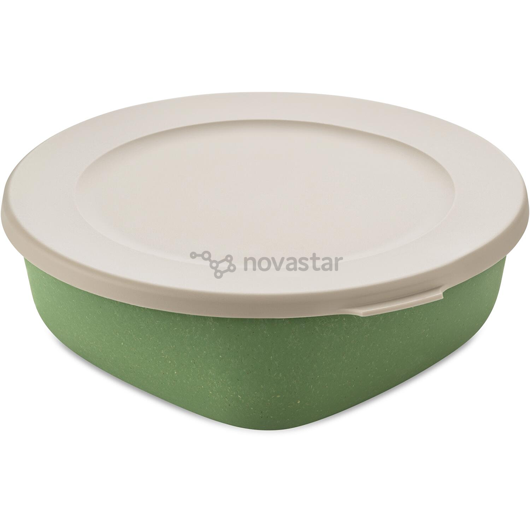 Koziol CONNECT BOX 1.3 L, green - Box with lid