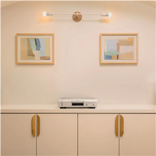 Denon DCD-900NE, silver - CD player