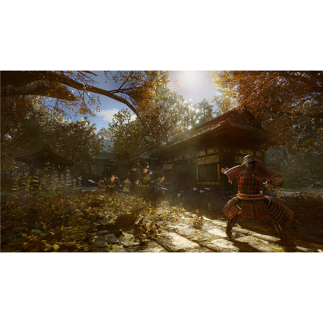 Nioh 3, PlayStation 5 - Žaidimas
