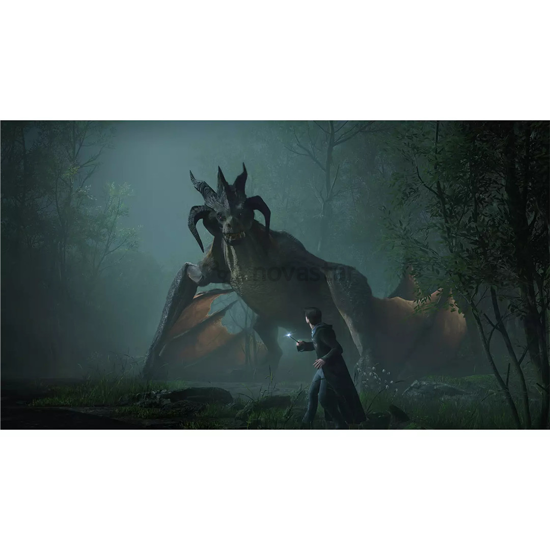 Hogwarts Legacy, Nintendo Switch - Žaidimas