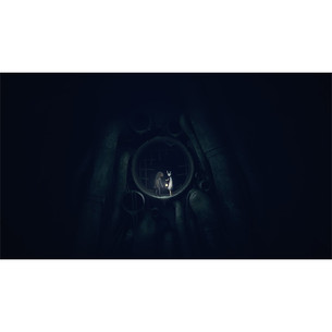 Reanimal, Nintendo Switch 2 - Žaidimas